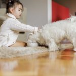 A little girl petting a white dog on the floor in Sammamish.