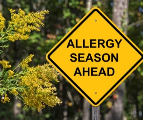 Allergy season sign