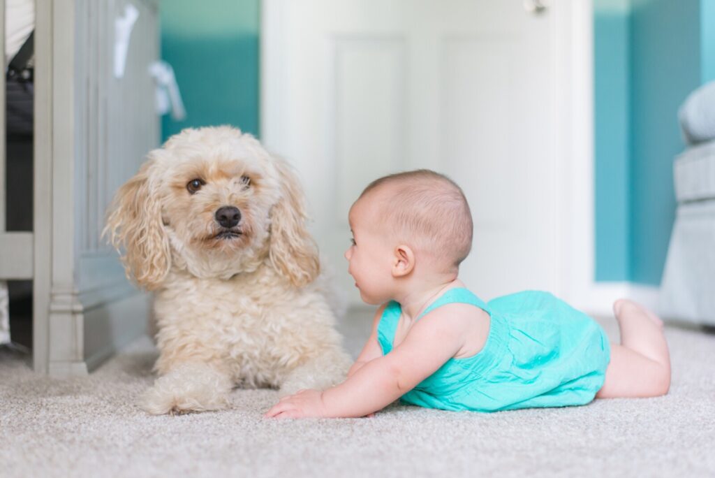 baby and pet on a carpet