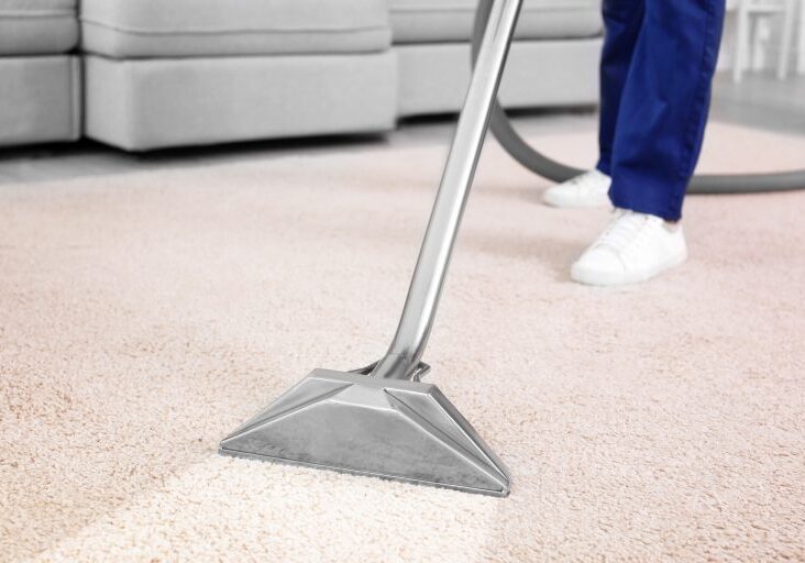 carpet cleaning