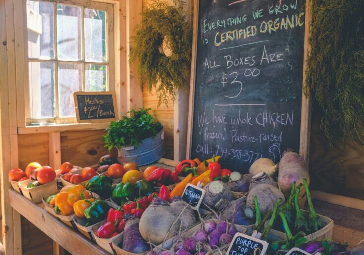 A market stall with various vegetables, including bell peppers, beets, and radishes, displayed with price tags. A chalkboard announces certified organic produce at $3 per box. Support local businesses like Sammamish Carpet Cleaning and community partners for all your needs.
