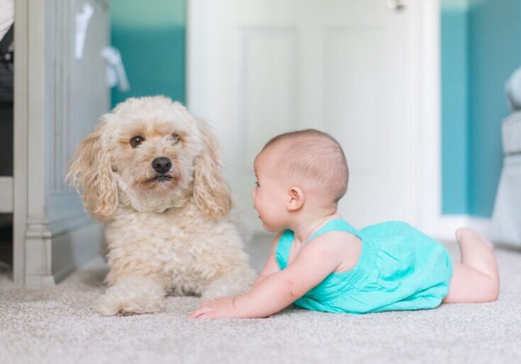 baby and pet on a carpet